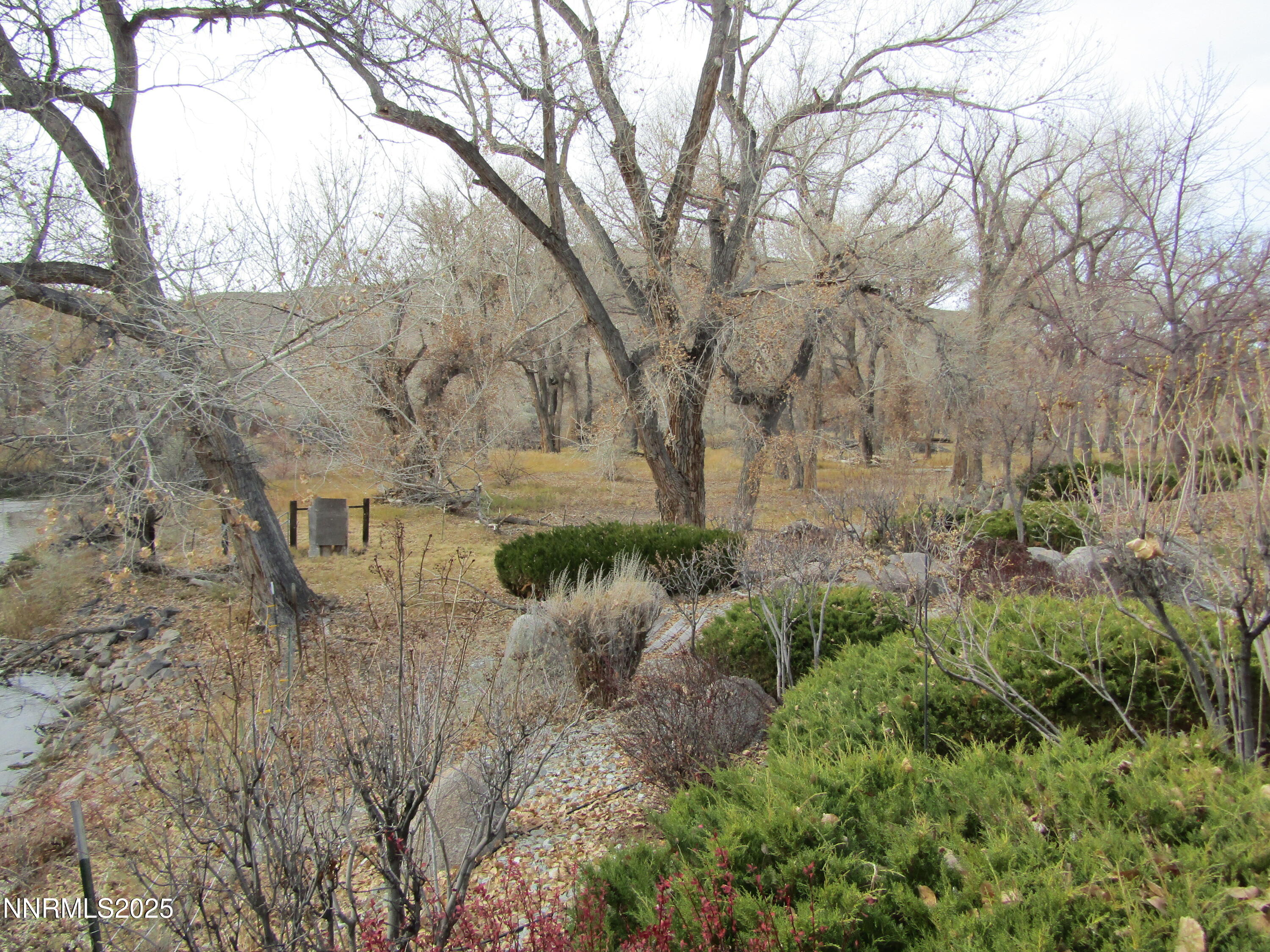 158 East Walker Road Yerington, NV 89447 - Photo 38 of 44 IMG_6170