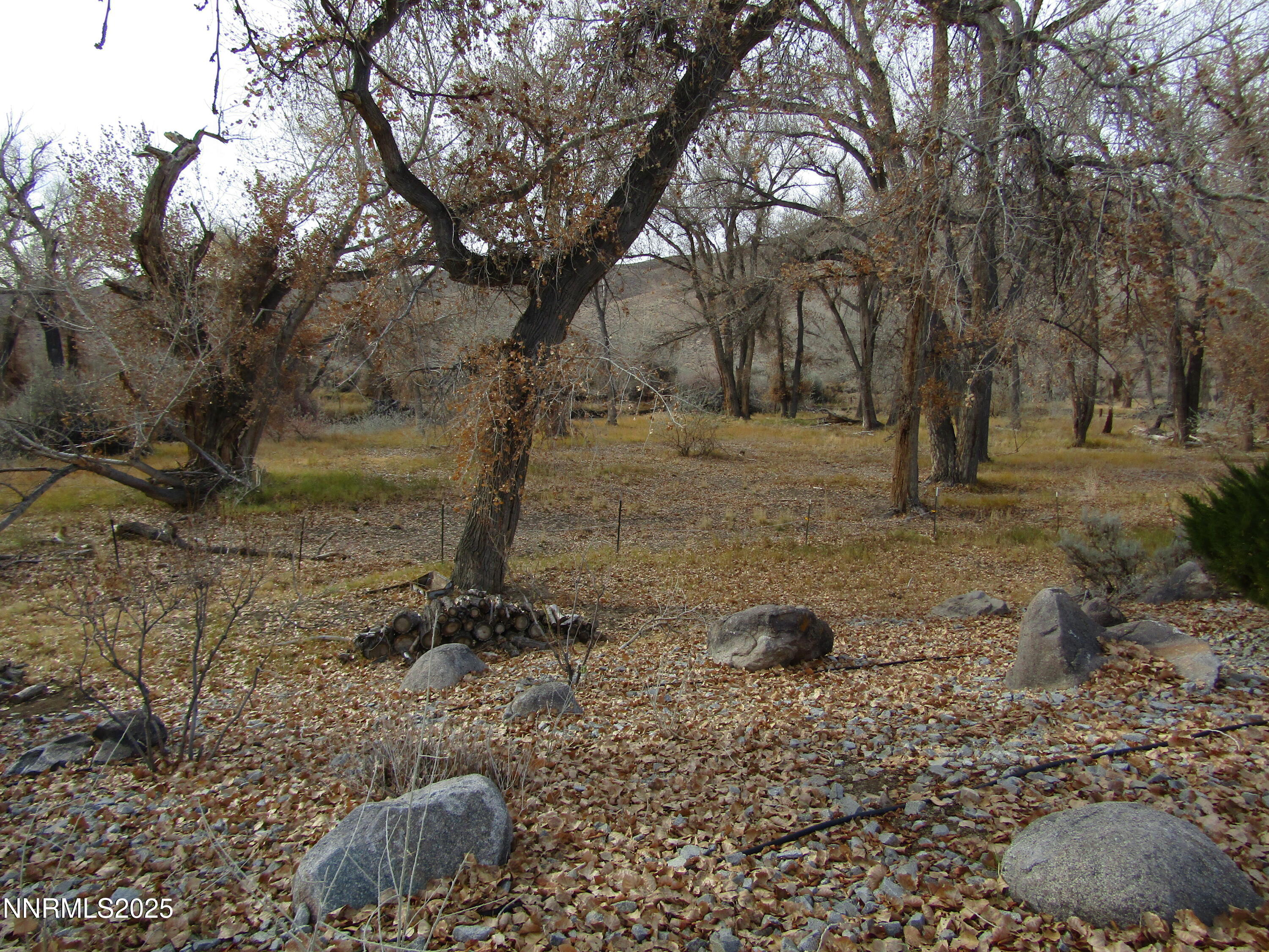 158 East Walker Road Yerington, NV 89447 - Photo 39 of 44 IMG_6172