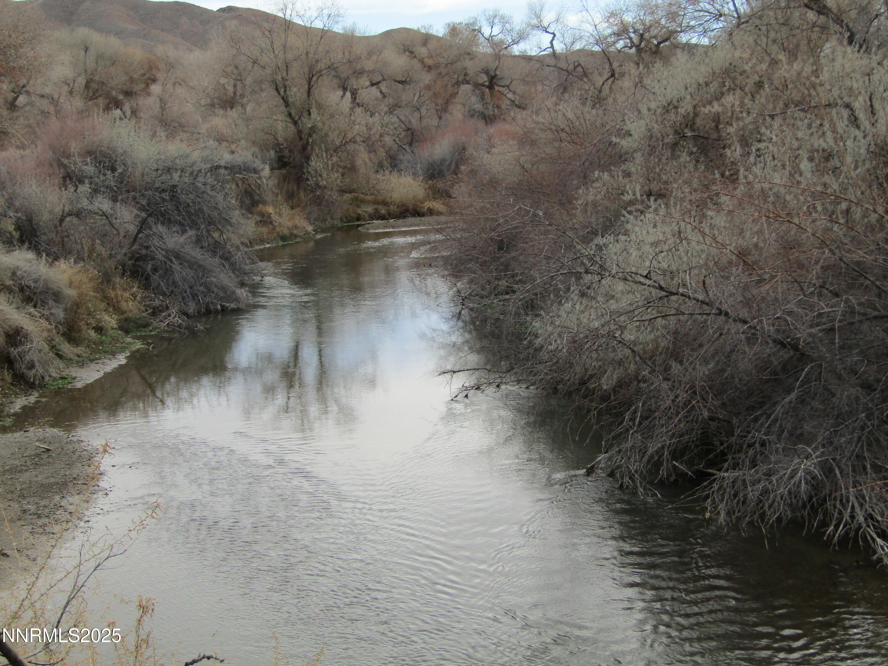 158 East Walker Road Yerington, NV 89447 - Photo 4 of 44 IMG_6159
