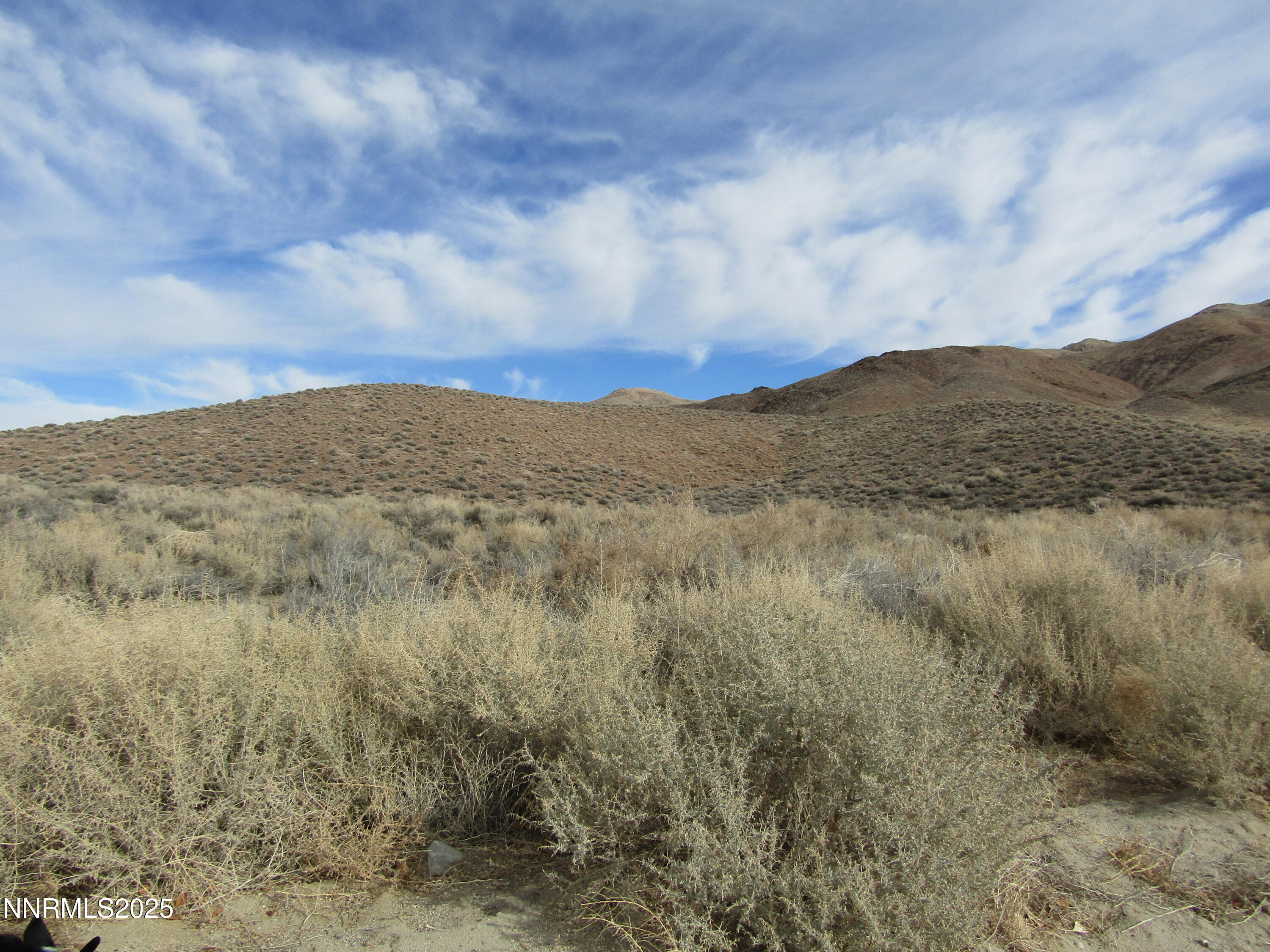 158 East Walker Road Yerington, NV 89447 - Photo 41 of 44 IMG_6145