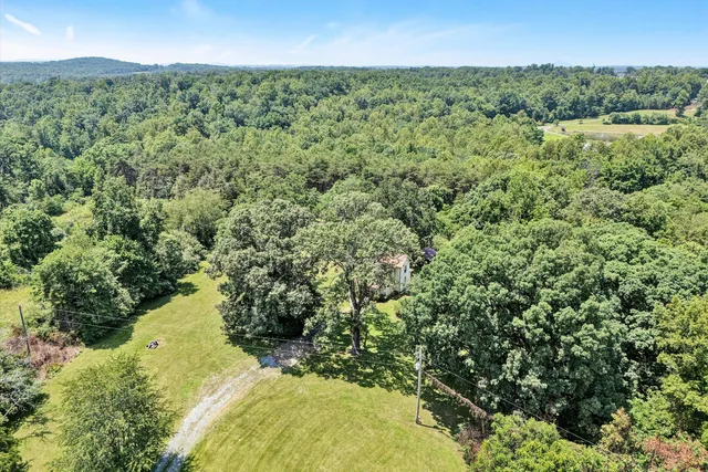 a view of a forest with a sink