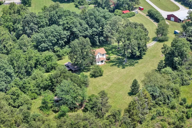 a view of backyard with plants and outdoor seating