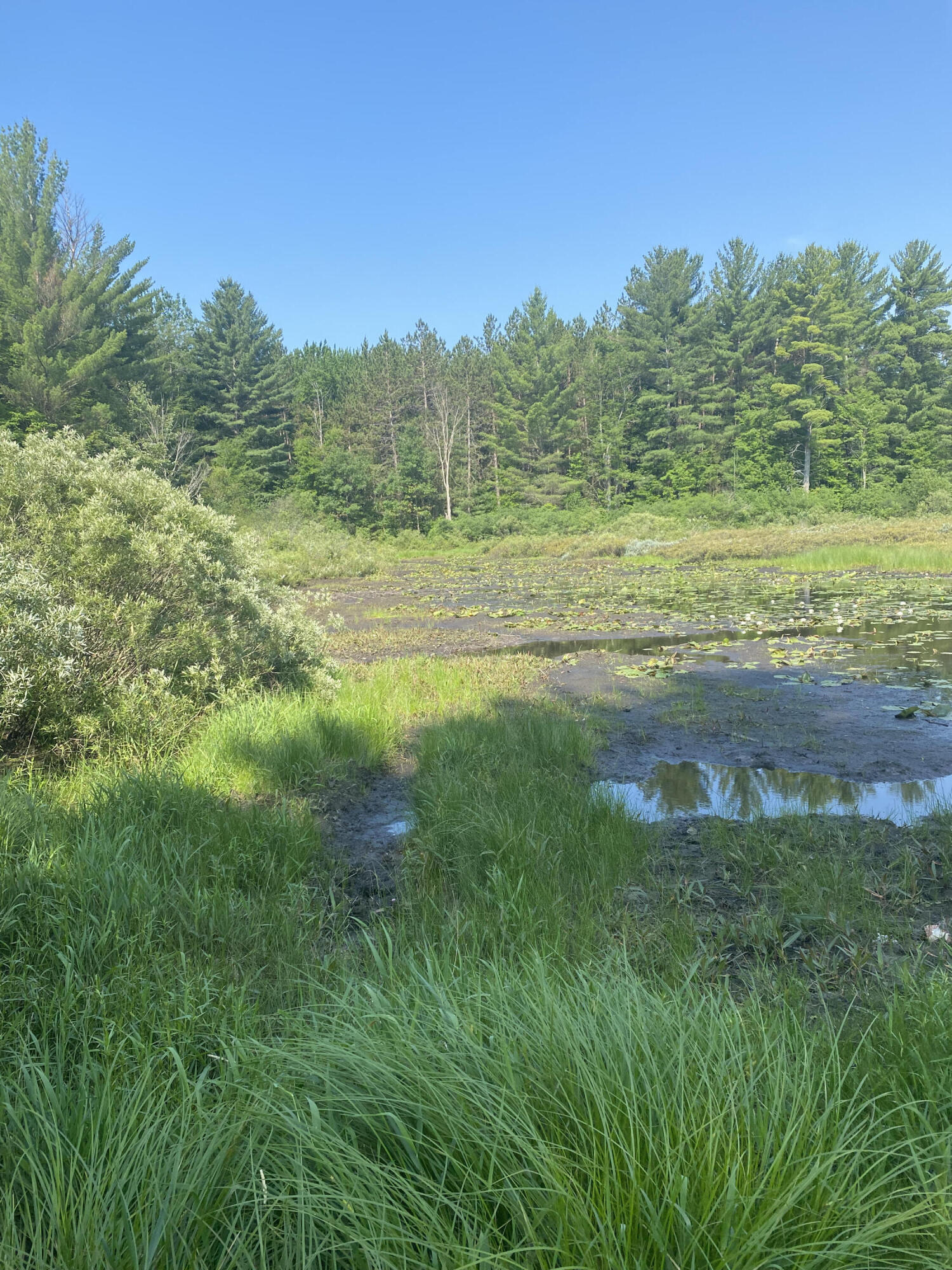 3210 South 39 Road Cadillac, MI 49601 - Photo 9 of 55 Land