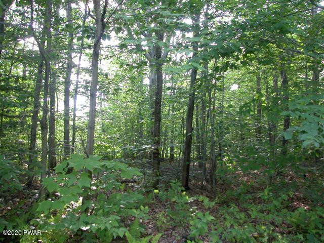 Lot 71 Old Woods Road Equinunk, PA 18417 - Photo 5 of 10
