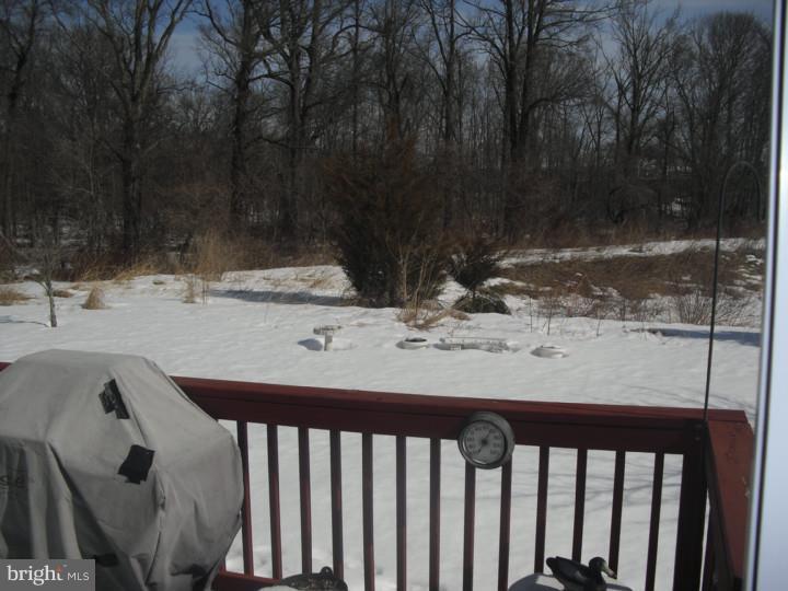 1746 Red Bud Road Quakertown, PA 18951 - Photo 14 of 15 View in Back