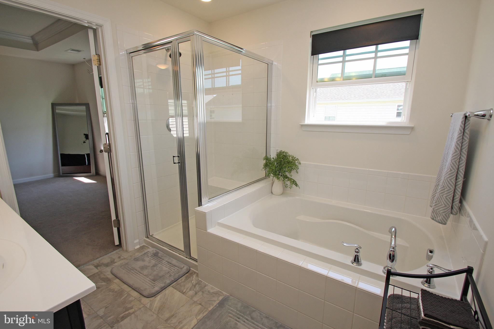 428 Smee Road Middletown, DE 19709 - Photo 27 of 63 Soaking tub and separate shower