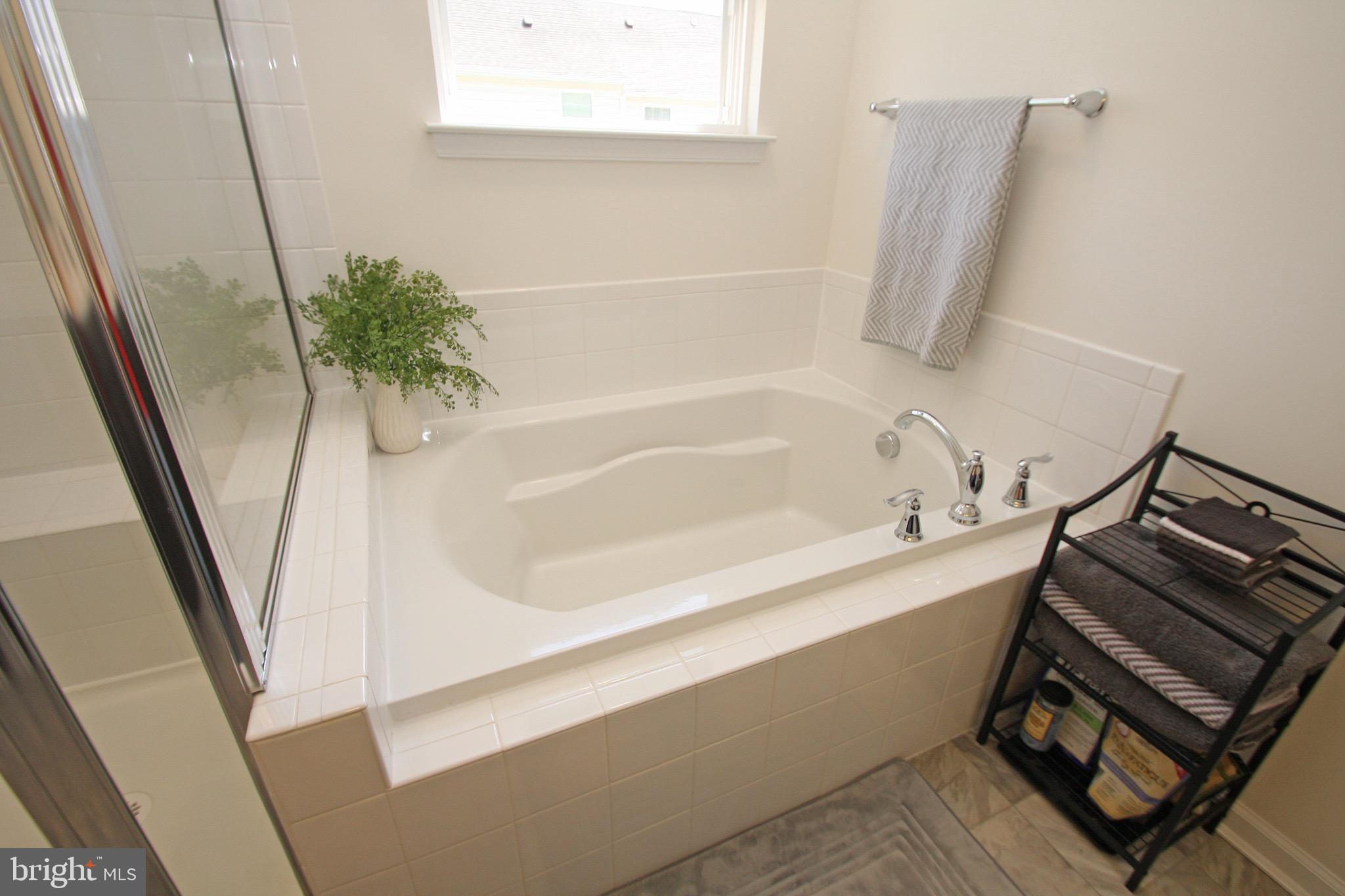 428 Smee Road Middletown, DE 19709 - Photo 29 of 63 Soaking tub
