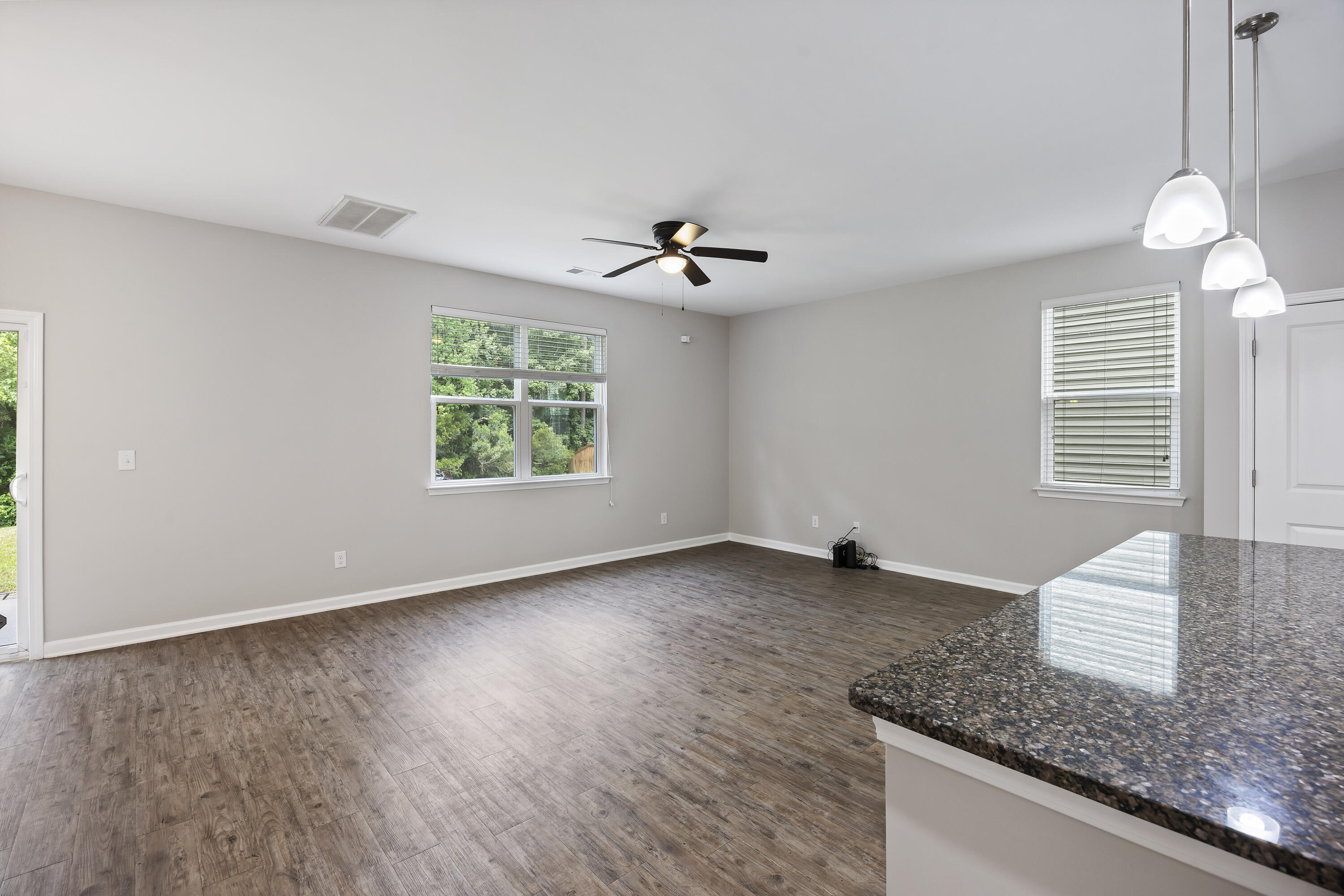 9798 Seed Street Ladson, SC 29456 - Photo 10 of 36 CHS_6899