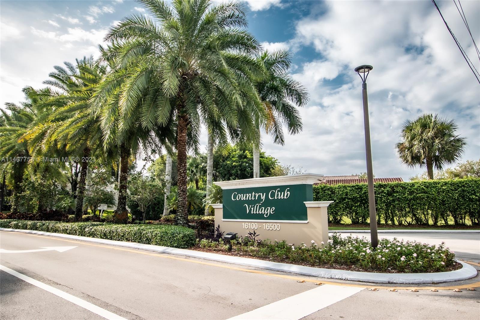 a view of a street sign and palm tree