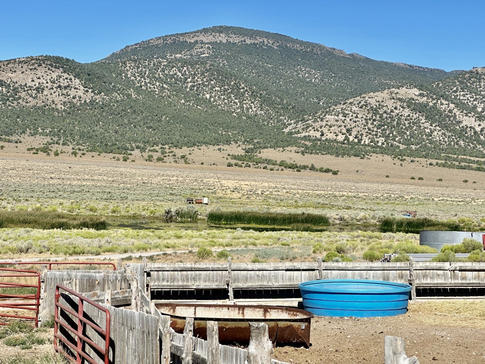 Segura Ranch Tonopah, NV 89049 - Photo 4 of 39 Gallery Image 4