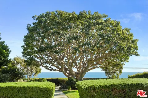 a view of a large garden