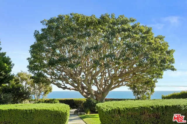 a view of a large garden