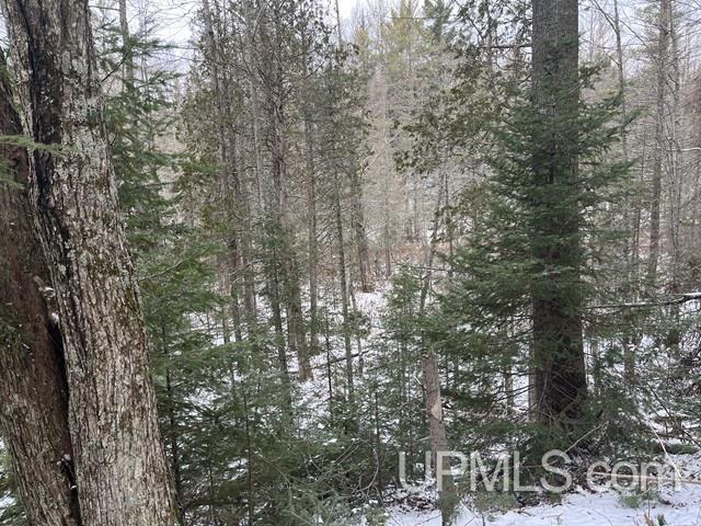 545 South Rd Skandia Mi 49885 Road Skandia, MI 49885 - Photo 24 of 38