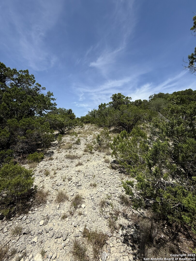 26709 Turkey Run Boerne, TX 78006 - Photo 3 of 8 a view of a bunch of trees in a field