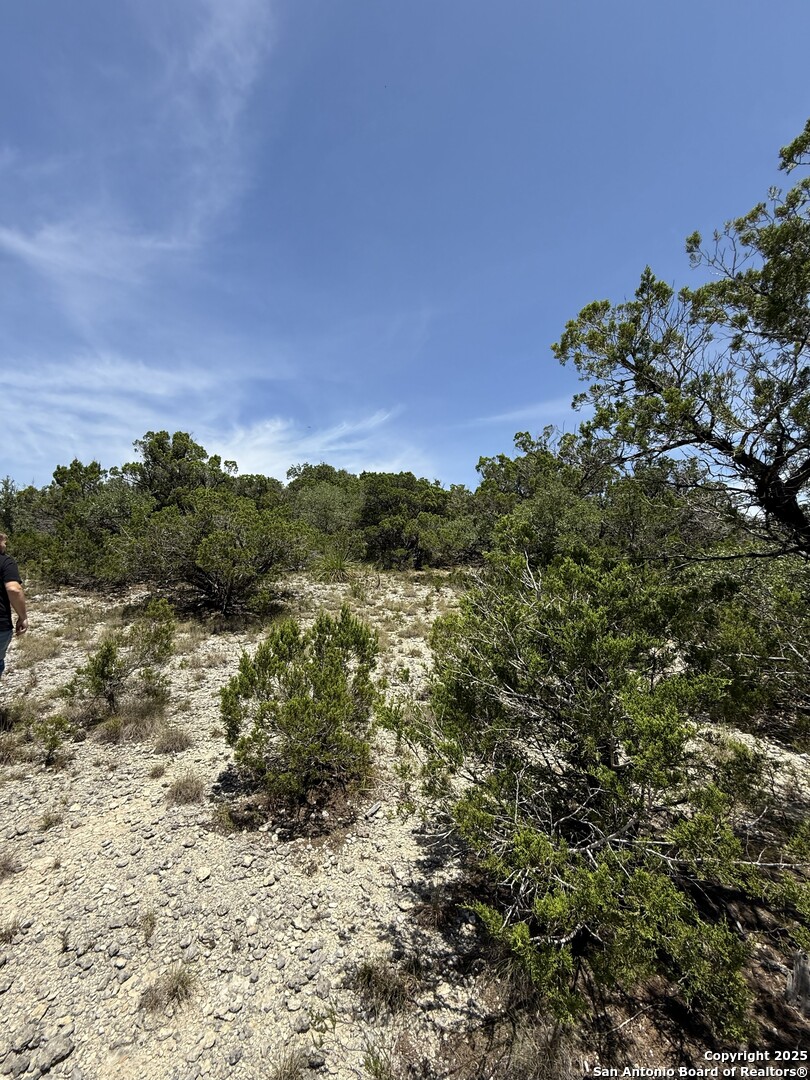 26709 Turkey Run Boerne, TX 78006 - Photo 5 of 8 a view of a lake with a mountain in the background