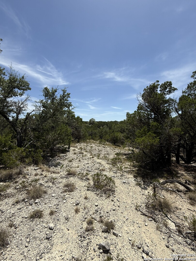 26709 Turkey Run Boerne, TX 78006 - Photo 6 of 8 a view of a yard with a tree
