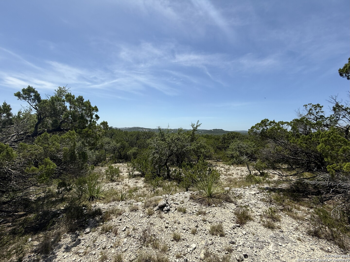 26709 Turkey Run Boerne, TX 78006 - Photo 7 of 8 a view of a field with a tree in the background