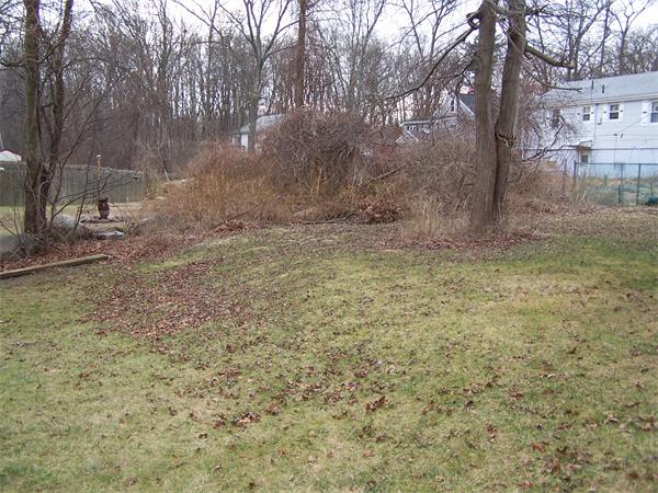 57 Woodlawn Road Randolph, MA 02368 - Photo 5 of 16 Gallery Image 5