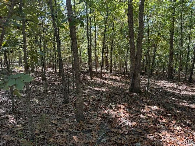 $179,900 | 260 State Rd J, Roach, MO 65787