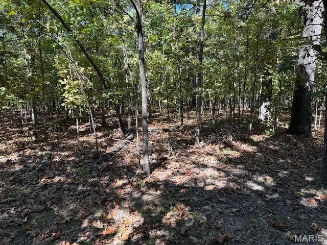 $179,900 | 260 State Rd J, Roach, MO 65787