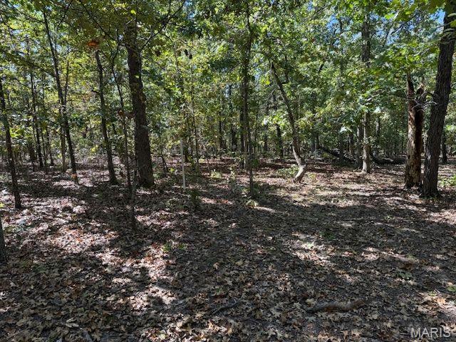 260 State Rd J Roach, MO 65787 - Photo 42 of 45