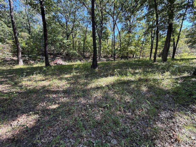 260 State Rd J Roach, MO 65787 - Photo 44 of 45