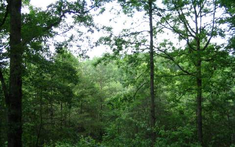 Lot 4 Connors Ridge Young Harris, GA 30582 - Photo 1 of 1 Main View