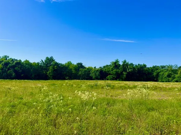 $92,000 | Lot 65 Kilkenny Road, Poolville, TX 76487
