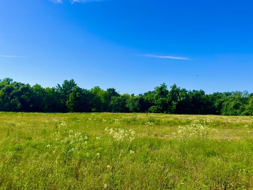 Lot 65 Kilkenny Road Poolville, TX 76487 - Photo 1 of 9