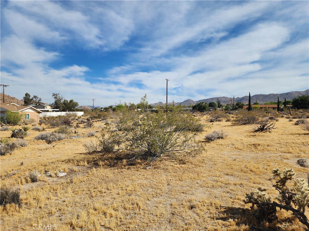 61665 Division Street Joshua Tree, CA 92252 - Photo 1 of 20