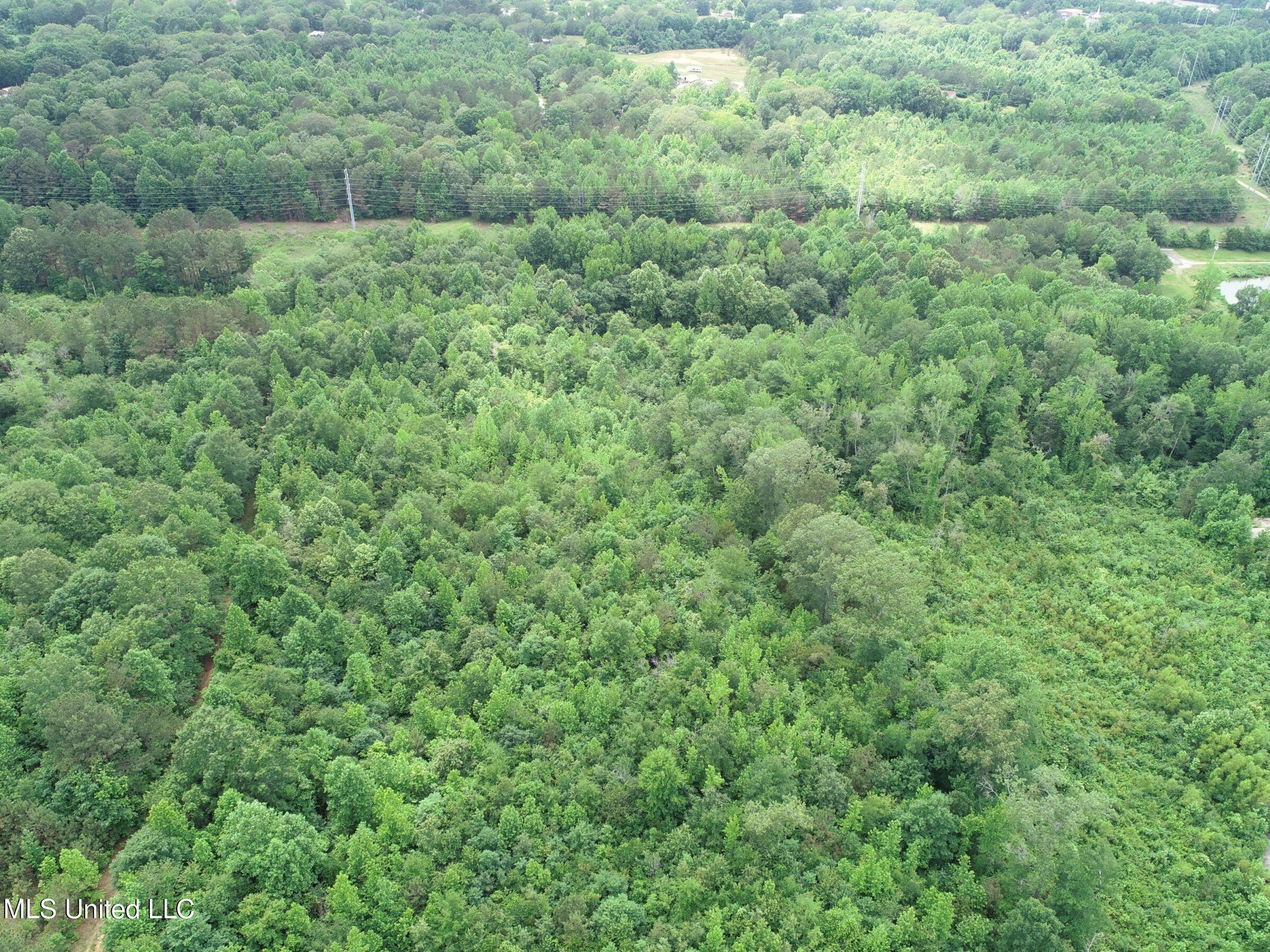 Jacinto Road Booneville, MS 38829 - Photo 37 of 59 2prtss26