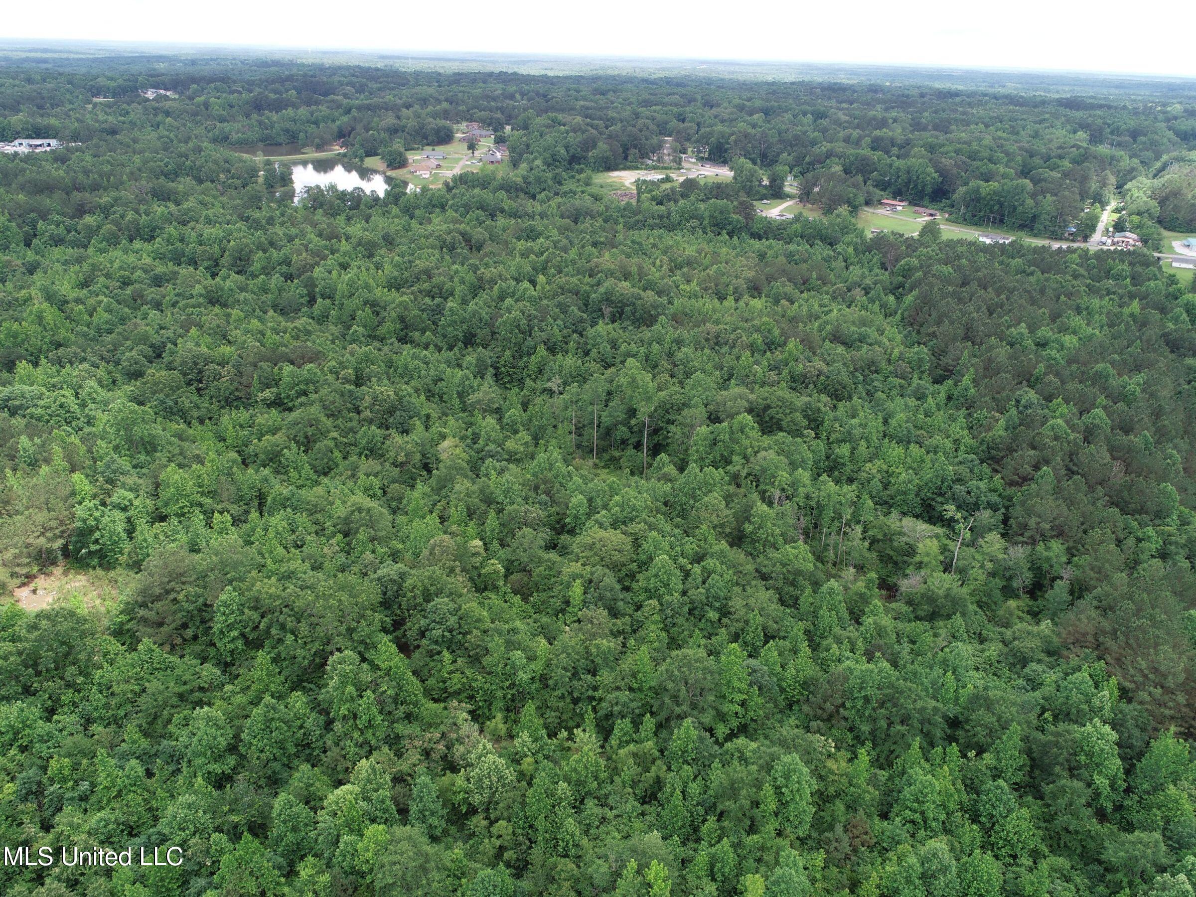 Jacinto Road Booneville, MS 38829 - Photo 40 of 59 2prtss29