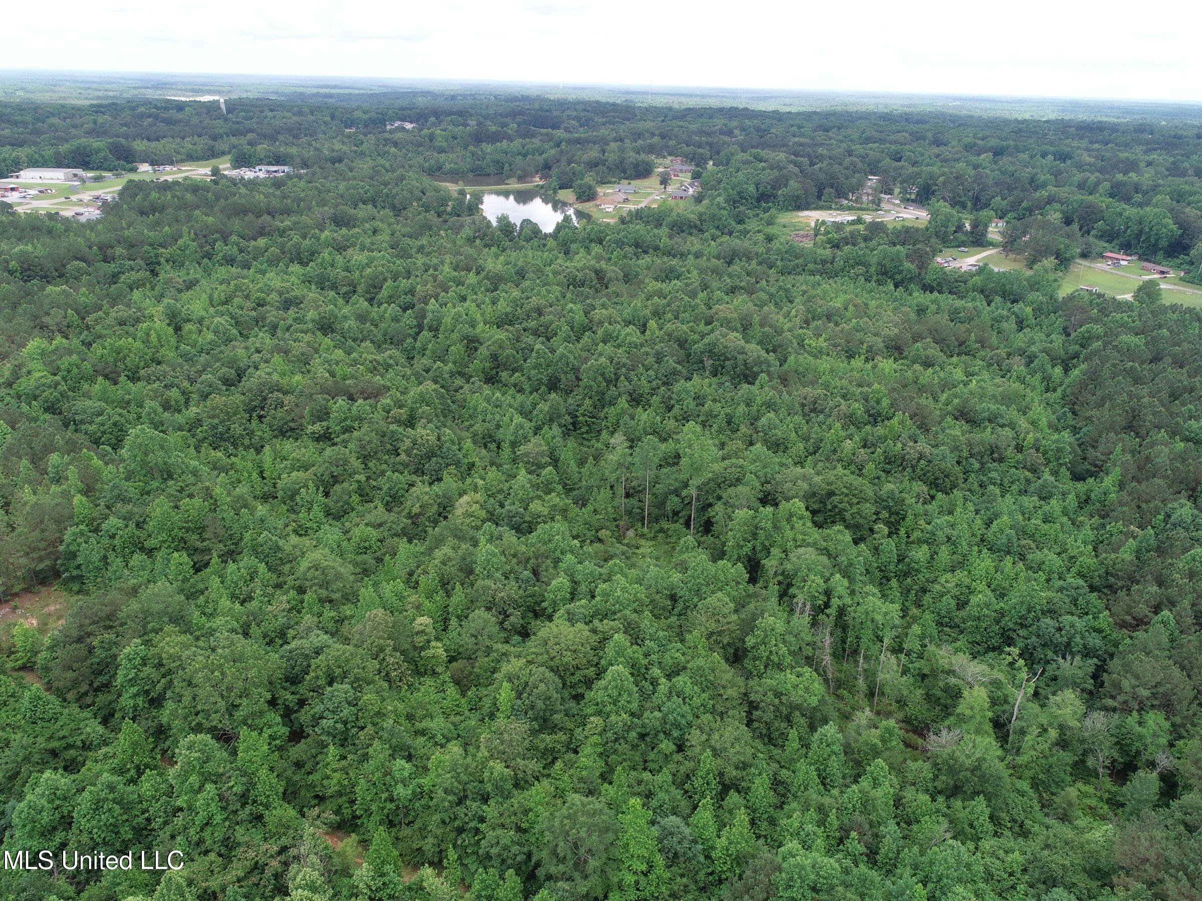 Jacinto Road Booneville, MS 38829 - Photo 41 of 59 2prtss30