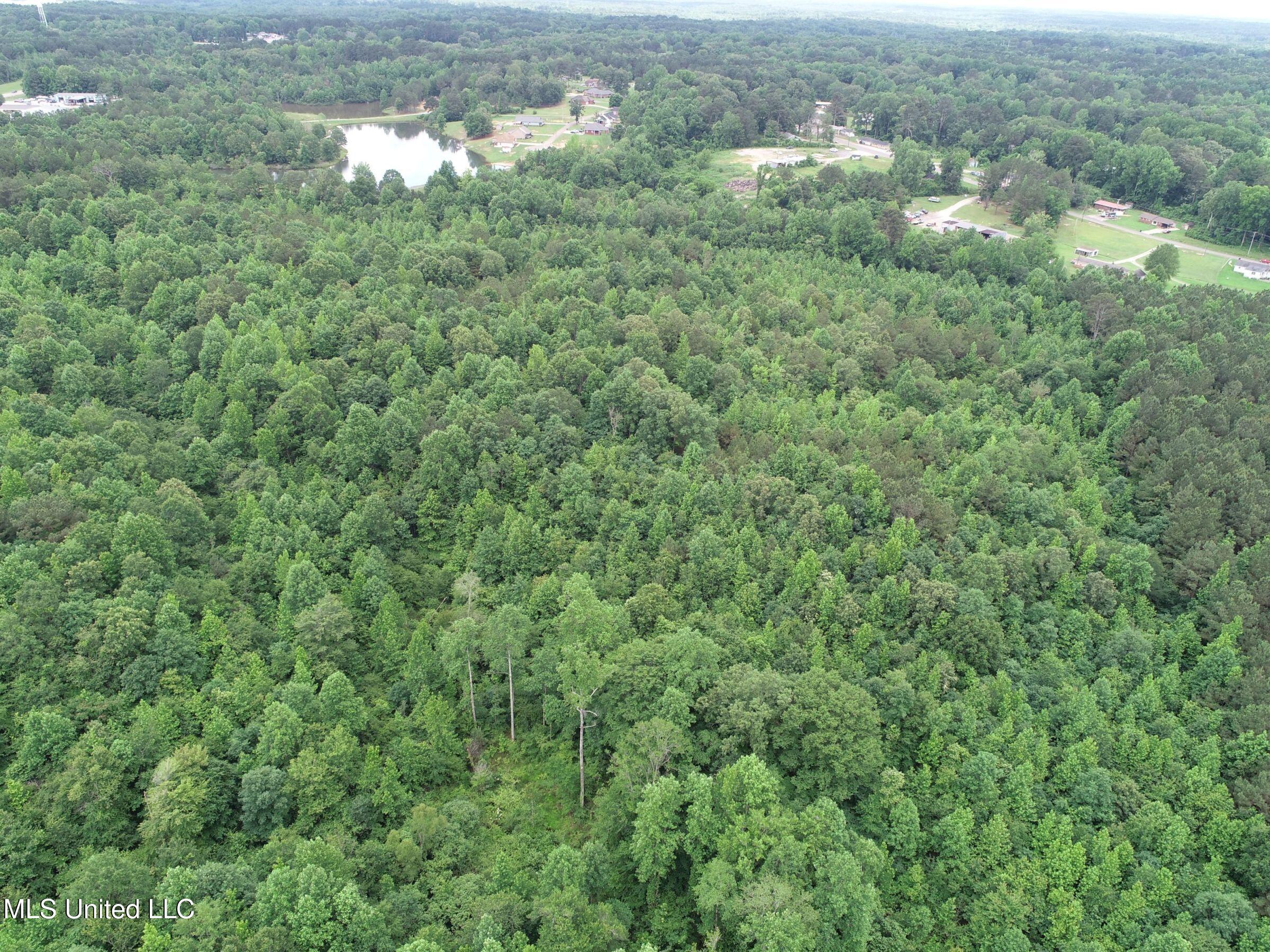 Jacinto Road Booneville, MS 38829 - Photo 42 of 59 2prtss31