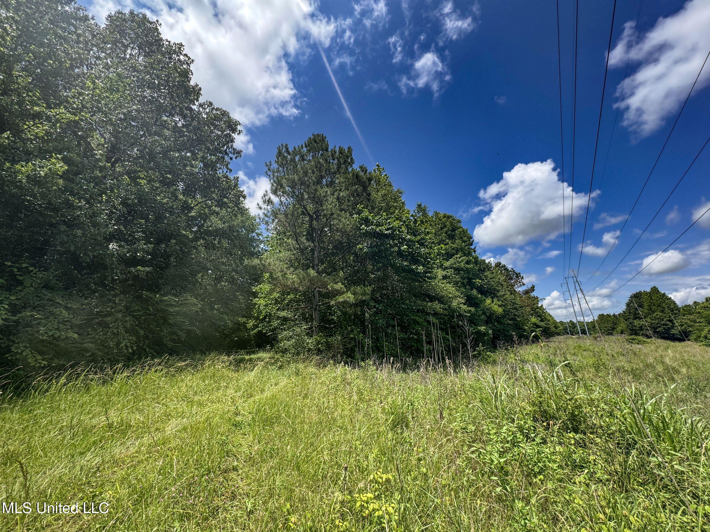 Jacinto Road Booneville, MS 38829 - Photo 54 of 59 1.1prtss3