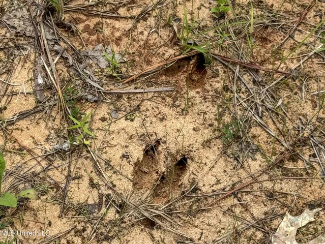 $150,000 | Jacinto Road, Booneville, MS 38829