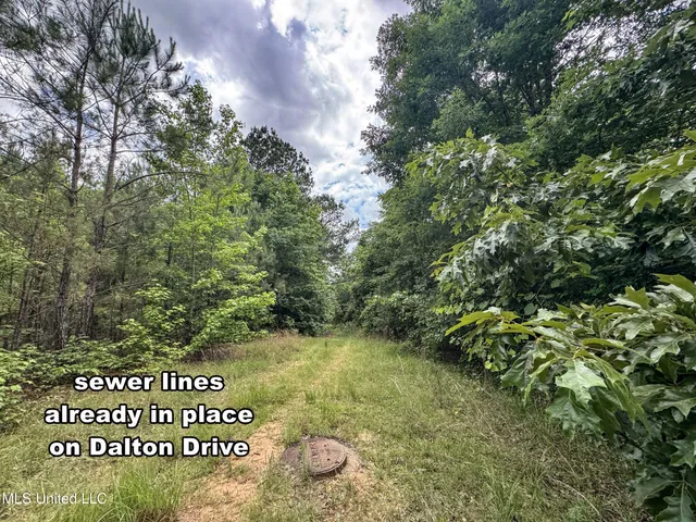 $150,000 | Jacinto Road, Booneville, MS 38829