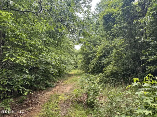 $150,000 | Jacinto Road, Booneville, MS 38829