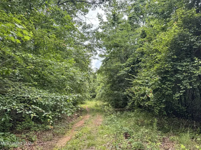 $150,000 | Jacinto Road, Booneville, MS 38829