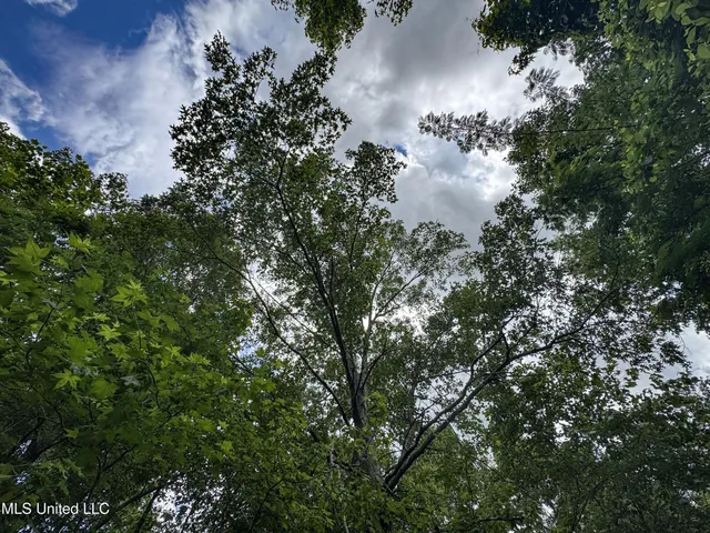 $150,000 | Jacinto Road, Booneville, MS 38829