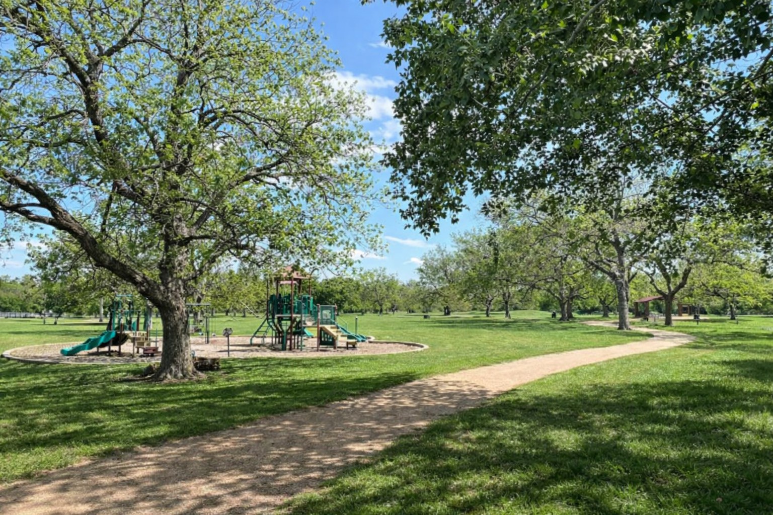 104 Aspen Trail Georgetown, TX 78626 - Photo 25 of 29 a view of a park with large trees