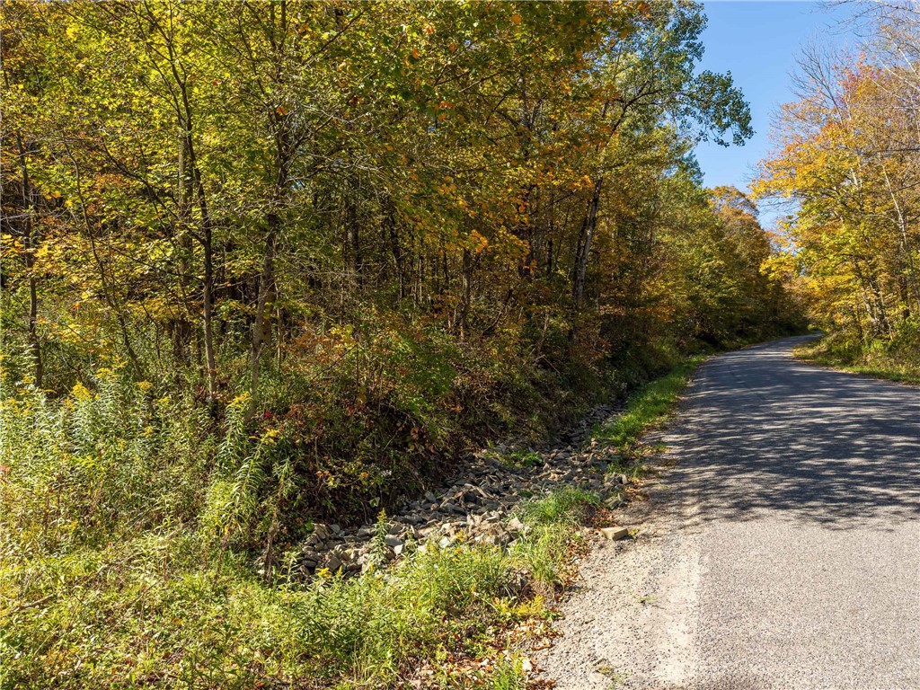 Reservoir Hill Road Norwich, NY 13815 - Photo 41 of 50