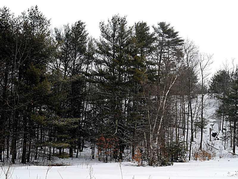 Lot 7 West Gray Road Gray, ME 04039 - Photo 11 of 16 Exterior Front.