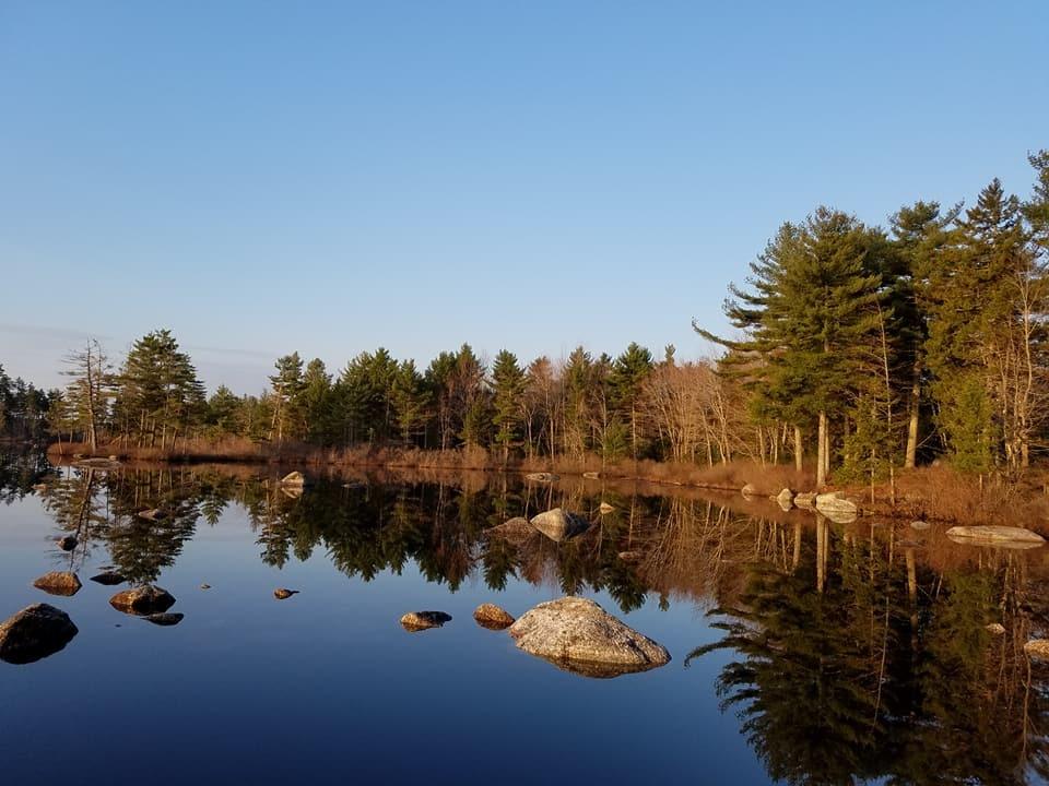 112 Decorum Road Surry, ME 04684 - Photo 49 of 56 BBC four