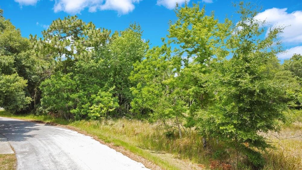 Bahia Road Ocala, FL 34472 - Photo 2 of 17 a view of a lake view