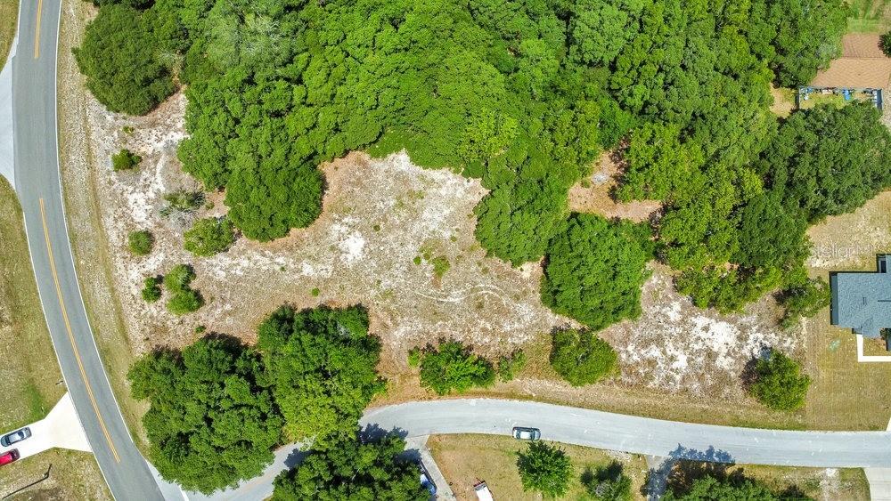 Bahia Road Ocala, FL 34472 - Photo 5 of 17 a view of a garden with plants