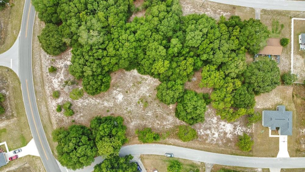 Bahia Road Ocala, FL 34472 - Photo 6 of 17 an outdoor view of garden