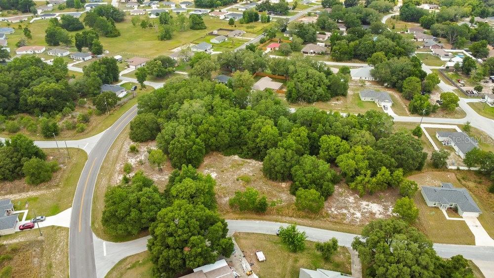 Bahia Road Ocala, FL 34472 - Photo 7 of 17 a view of a yard with plants