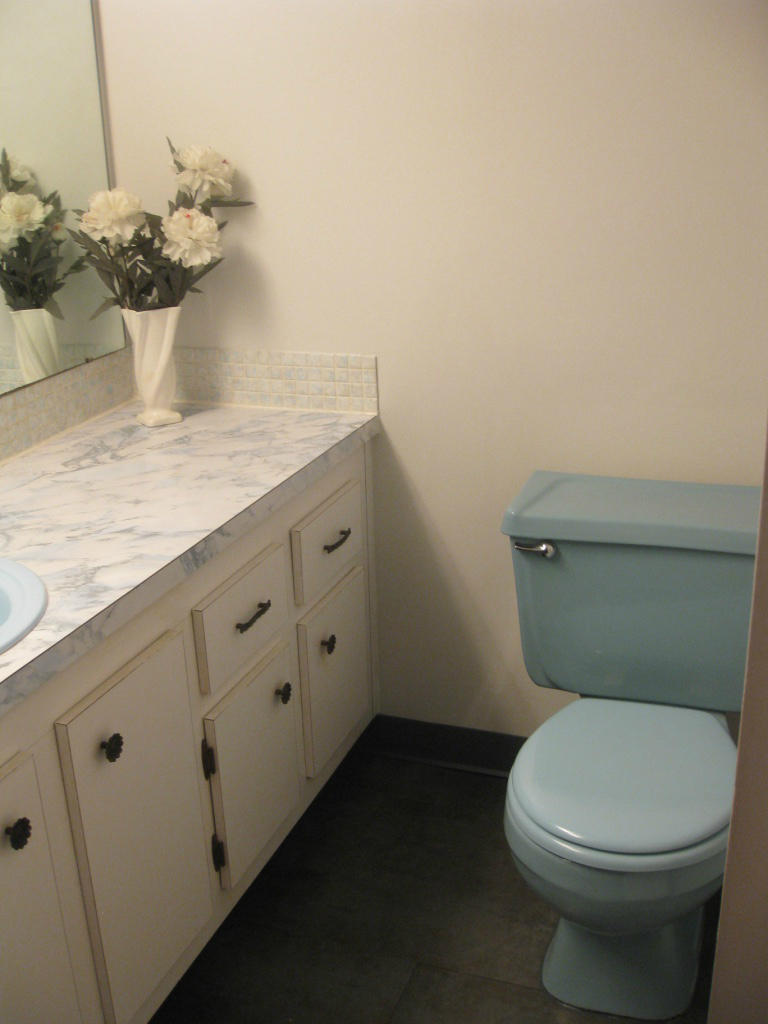 SILVER half bath