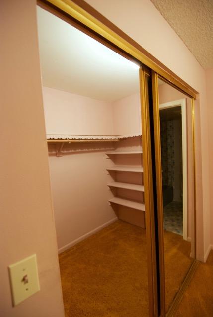 22605 Southwest 66th Avenue, Unit 206 Boca Raton, FL 33428 - Photo 10 of 15 silver full closet